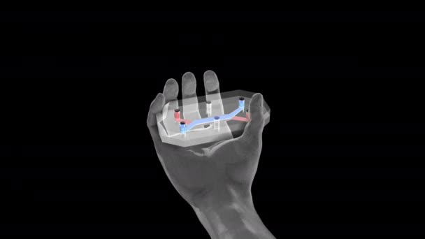 Organ Chip Ooc Багатоканальний Триканальний Мікрофлюїдний Чіп Який Імітує Діяльність — стокове відео