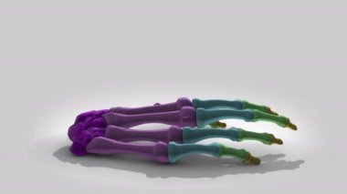 Arkaplanda 3D model animasyonu