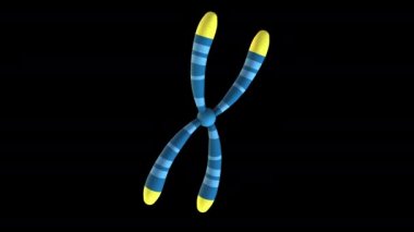 Elementlerin Periyodik Tablosu - Beyaz arkaplanda 3d animasyon modeli