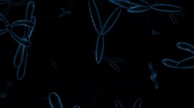 Kromozom-xy - döndürme arkaplanı Koyu mavi - beyaz arkaplan üzerinde 3d animasyon modeli