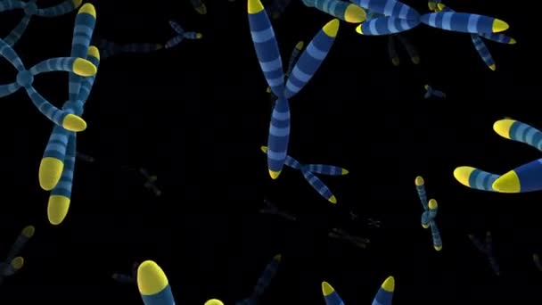 Хромосома Ксі Обертальний Фон Анімаційна Модель Білому Тлі — стокове відео