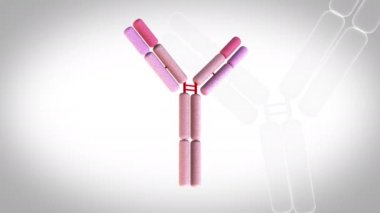 Antikor- ateşleme - döndürme döngüsü - beyaz arkaplan üzerinde 3d animasyon modeli