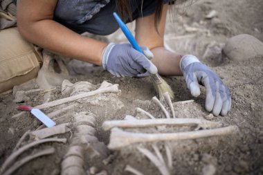 İnsan kalıntıları üzerinde çalışan genç bir arkeolog kadın.