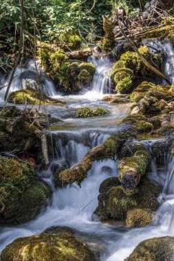 Sırbistan ve Şelaleler Sopotnica Nehri 'nin dağ deresinde