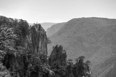 Sırbistan ve Mountain Tara Peyzajı