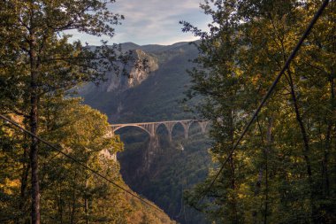DURMITOR Ulusal Parkı, Karadağ, Tara Nehri Kanyonu 'nu kapsayan Beton kemerli köprü (Curdjevica Tara 1937)