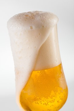 Bira köpüklü kafa ile taşan
