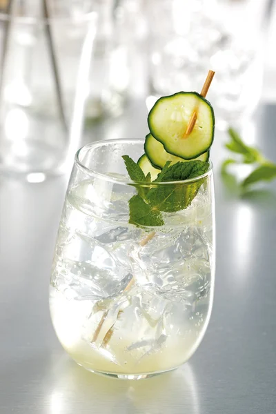 Cucumber mojito cocktail with mint leaves — Stock Photo, Image