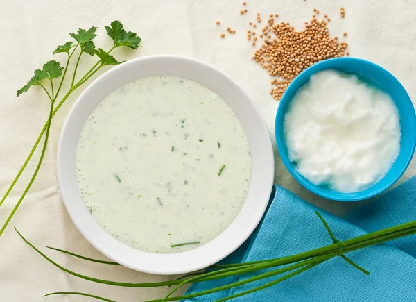 Tzatziki salsa de yogur griego con ingredientes — Foto de Stock