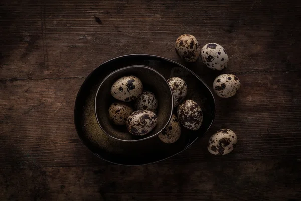 Quail eggs on pottery bowls — Stock Photo, Image