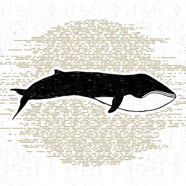 Icono texturizado dibujado a mano con ilustración de vectores de ballenas — Archivo Imágenes Vectoriales