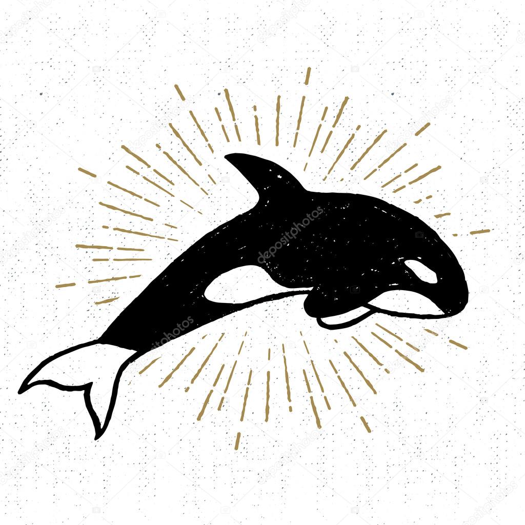 blackfish #hashtag