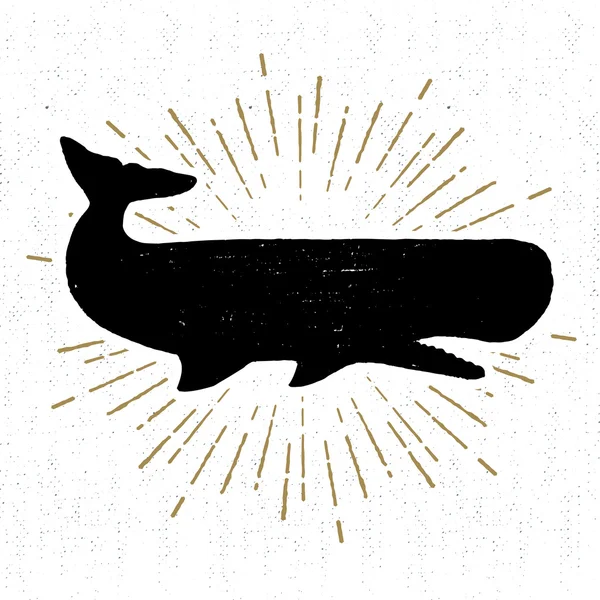 Ícone vintage desenhado à mão com uma ilustração texturizada do vetor de baleia espermática — Vetor de Stock
