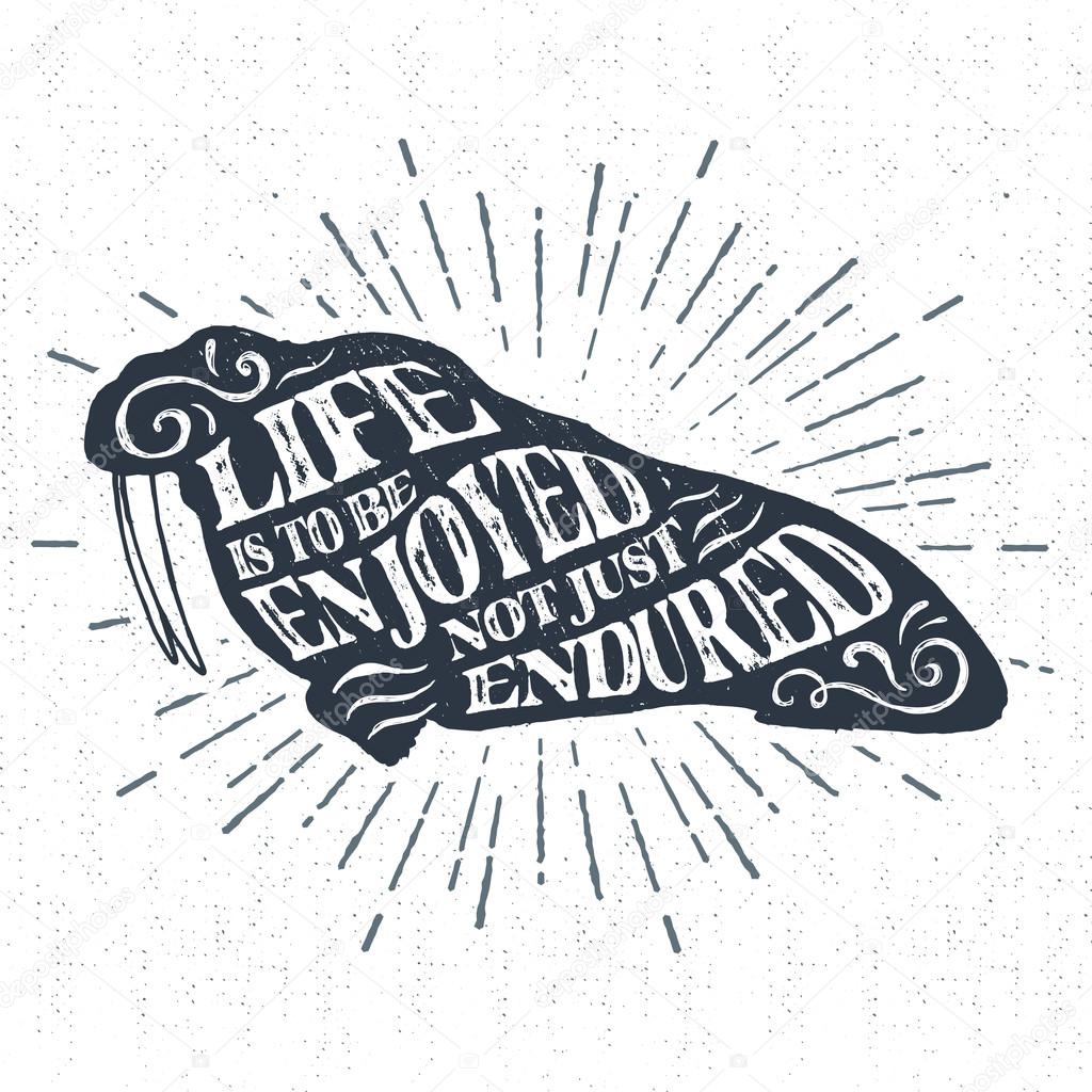 Hand drawn vintage label, retro badge with textured walrus vector illustration and 