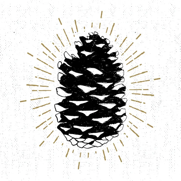 Hand drawn icon with a textured fir cone vector illustration — Stock Vector