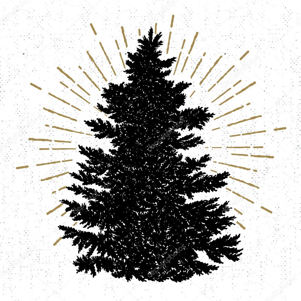 Hand drawn icon with a textured fir tree vector illustration.