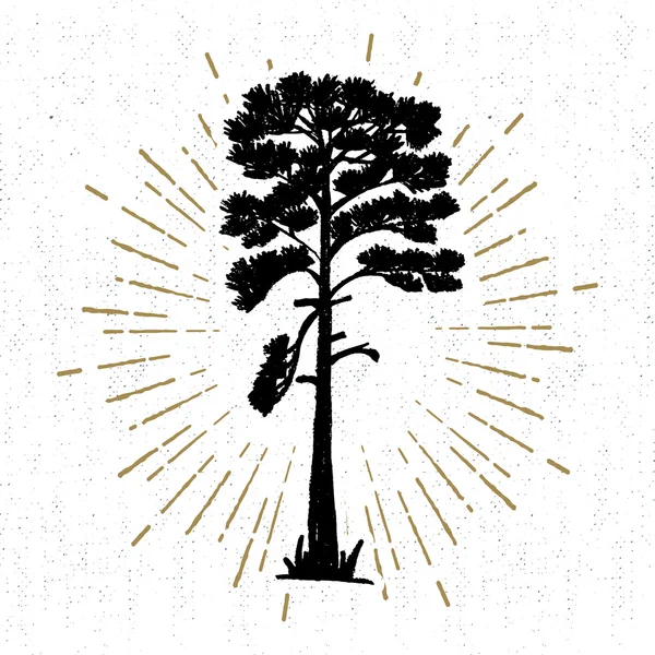 Dokulu çam vektör illüstrasyonlu elle çizilmiş simge
