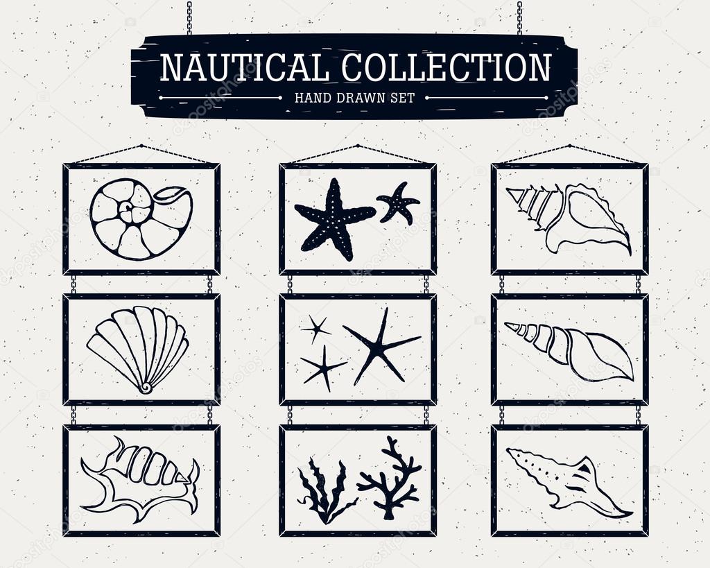 Hand drawn nautical collection of shells, starfish, and seaweed.