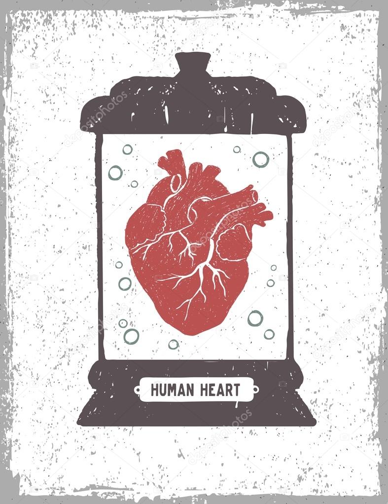 Human heart in a medical jar vector illustration.