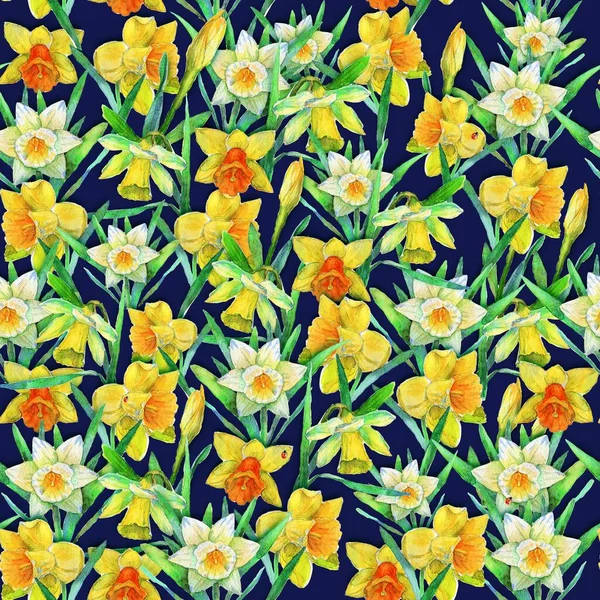 Watercolor drawing - orange-yellow and creamy-white daffodils on a dark blue background, seamless repeating pattern for printing on fabrics and gift wrap paper