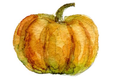 suluboya kabak izole