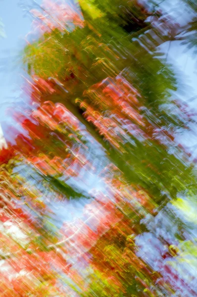 Abstracción renk ve hareket