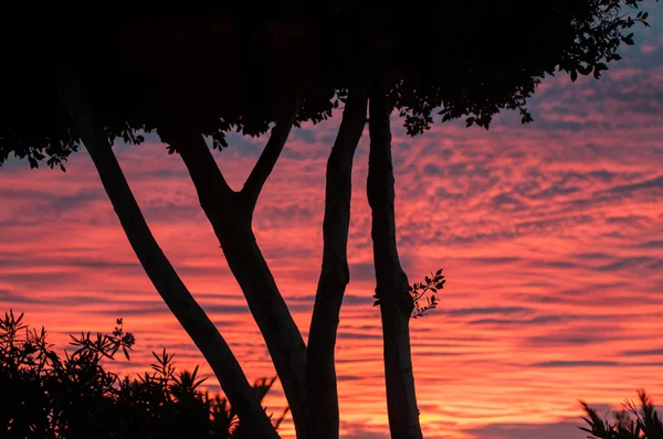 Pôr do sol — Fotografia de Stock