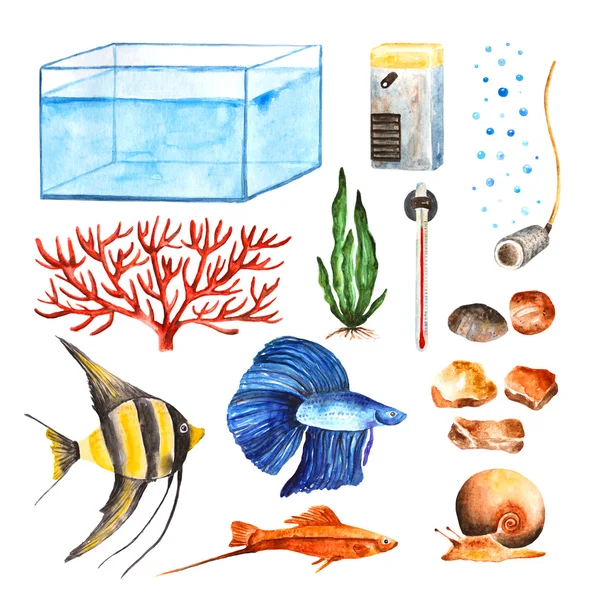Watercolor aquarium objects set — ストック写真