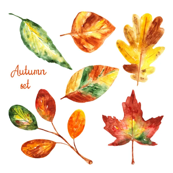 Akvarel podzimní listí kolekce — Stock fotografie