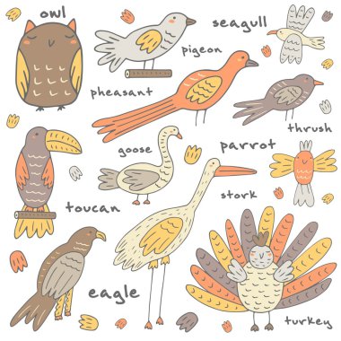 Cute hand drawn birds