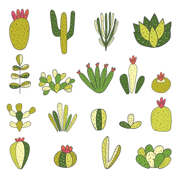 Schattig hand getrokken doodle cactussen — Stockvector