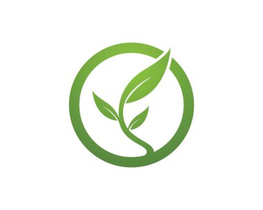 Doğa yaprağı simgesi işareti logoları