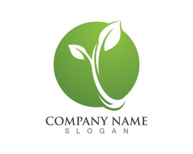 Yeşil yaprak logo şablonu Vektör simgesi