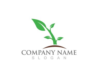 Yeşil Ağaç Yaprağı Ekolojisi bir doğa element vektörü