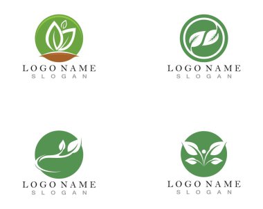 Yaprak yeşili doğa logosu ve sembol şablonu