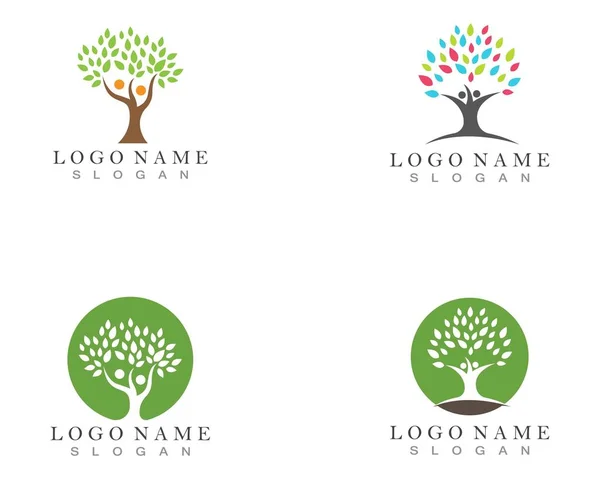 Modèle Logo Arbre Généalogique Conception Icône Vectorielle — Image vectorielle