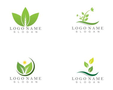 Doğa yaprağı logosu tasarımı kavramı