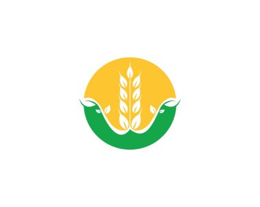 Buğday logo vektör şablonu