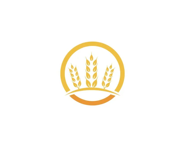 Plantilla Vector Logotipo Trigo — Archivo Imágenes Vectoriales