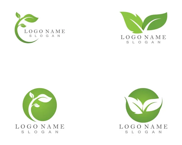 ekoloji doğa element vektörleri