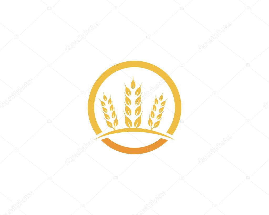 Wheat logo vector template