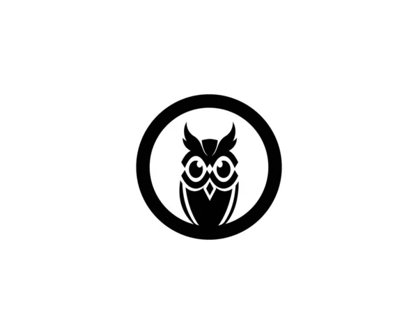 Λογότυπο Και Πρότυπο Συμβόλων Κουκουβάγιας — Διανυσματικό Αρχείο
