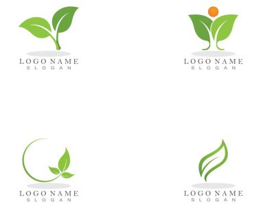 Doğa yaprağı bitki vektörü çizimi