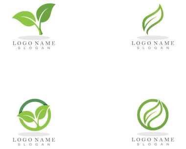 Doğa yaprağı bitki vektörü çizimi