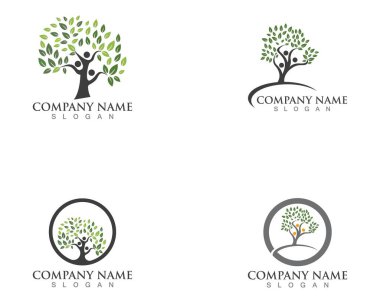 Aile Ağacı Logosu Sembol Şablonu