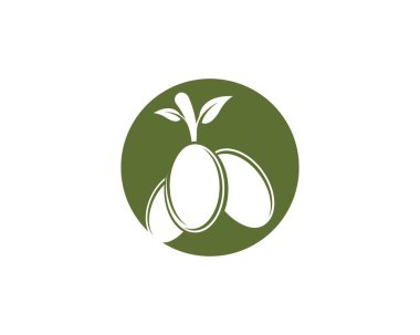 Zeytin logosu şablon vektör resimleme tasarımı