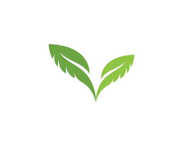 Vert Feuille Écologie Élément Nature Vecteur — Image vectorielle
