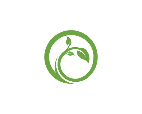 Hinterlässt Grünes Natur Logo Und Symbol Symbol — Stockvektor