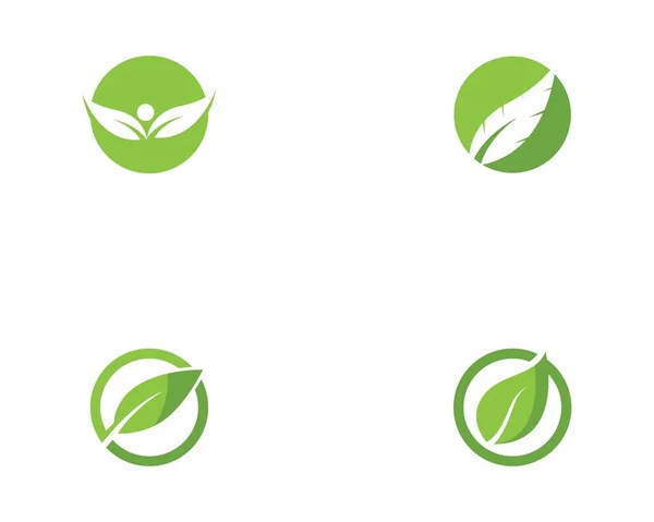 Zöld Levél Ökológia Természet Elem Vektor — Stock Vector