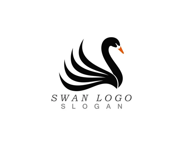 Schwan Logo Vorlage Vektor Illustration Design — Stockvektor